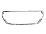 P208 Chromen rand om grill