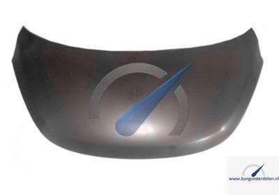 Hyundai I10 scherm motorkap 2008-2016